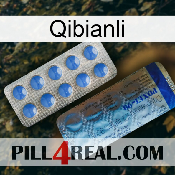 Qibianli 40